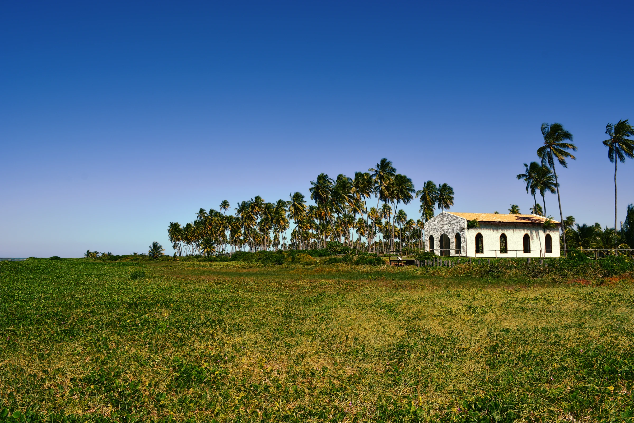 Campo verde e baixo em primeiro plano, com uma capela branca de janelas em arco e telhado de palha ao fundo, encostada numa longa fileira de coqueiros, sob céu azul sem nuvens.